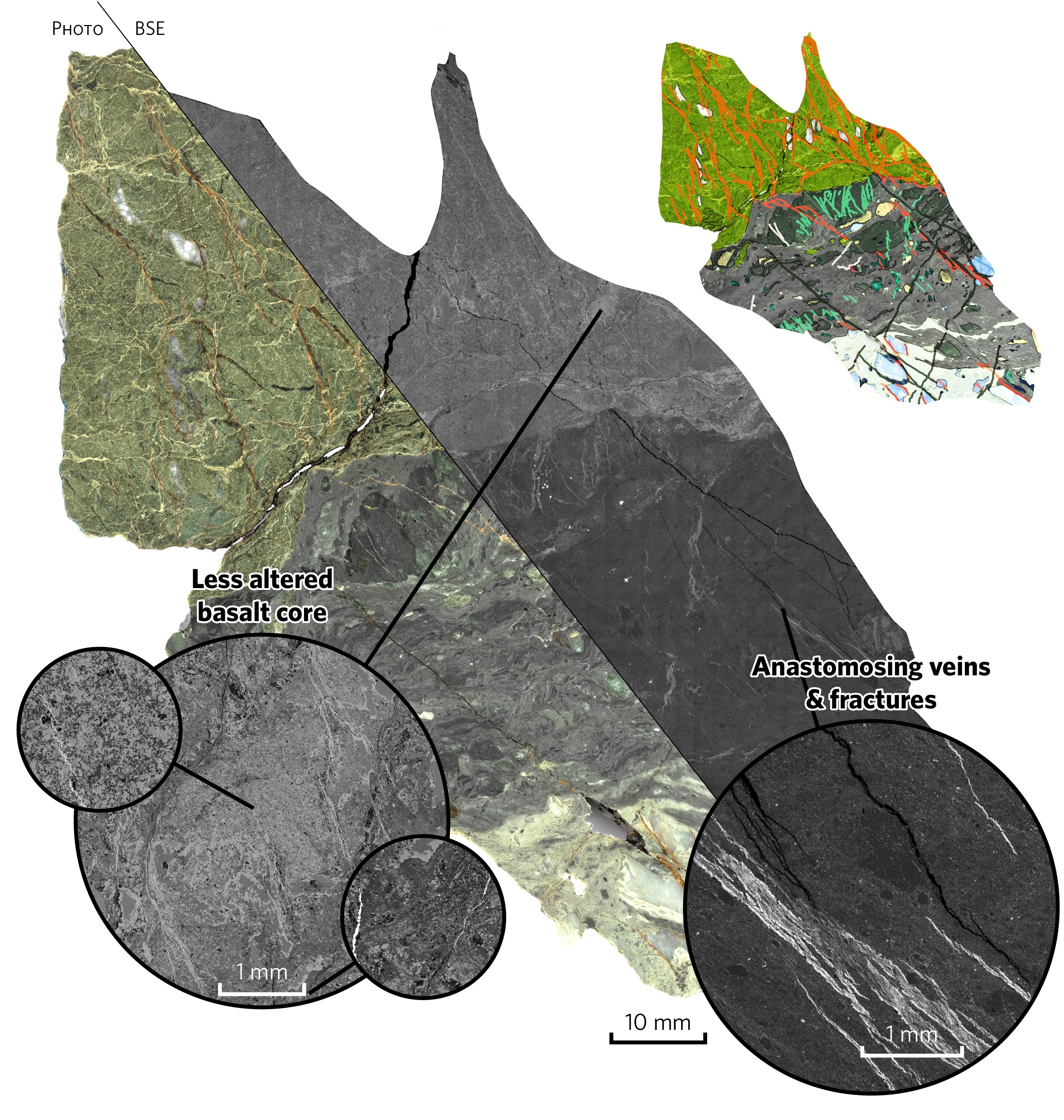 Interpreted outcrop model from the Chrystalls Beach Mélange