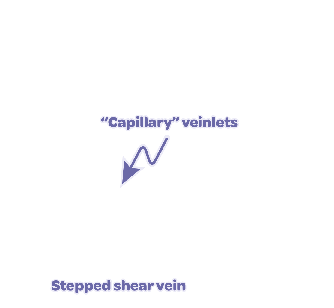 Labels overlay