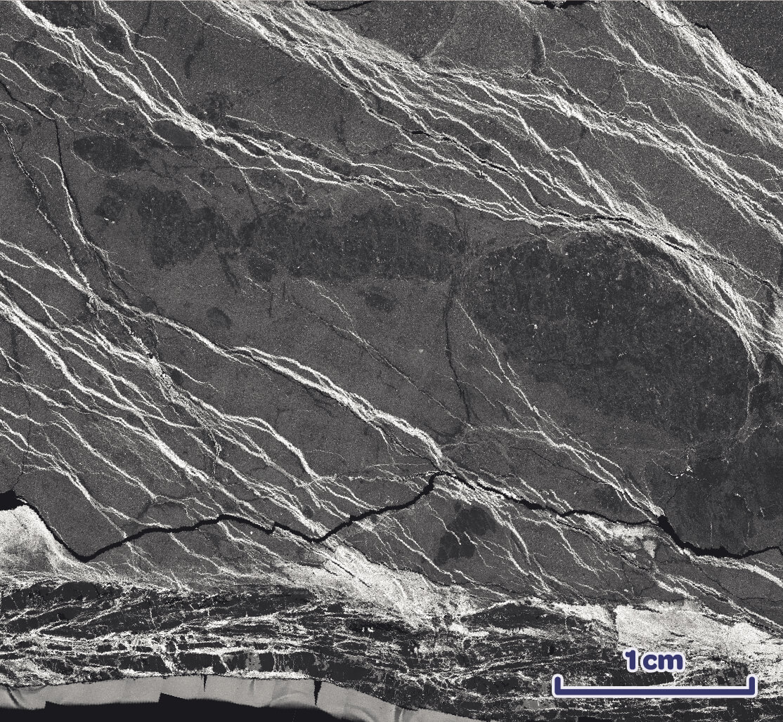 Relationship between stepped shear veins and anastomosing “capillary” veinlets