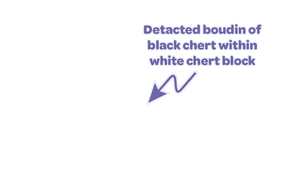 Labels overlay