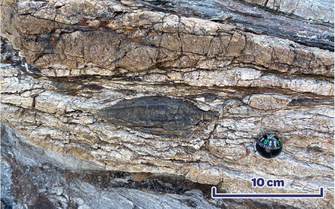 Internal boudin of black chert within block of white chert