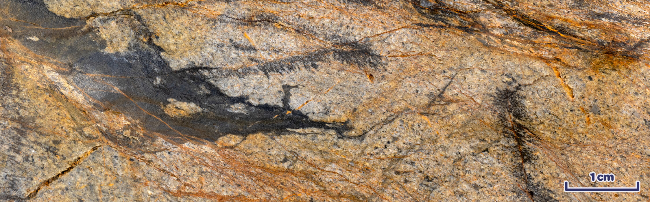 Injectite within sandstone block