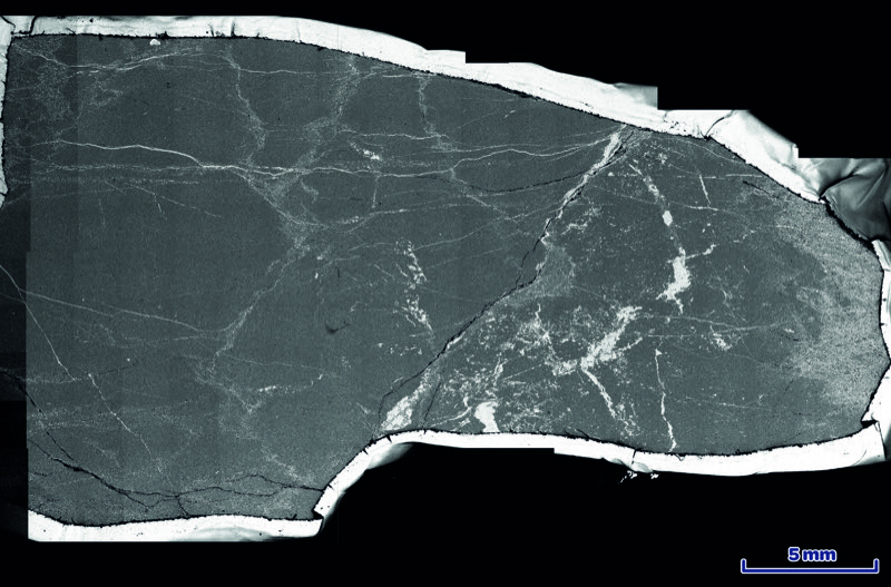 Fragmented chert block