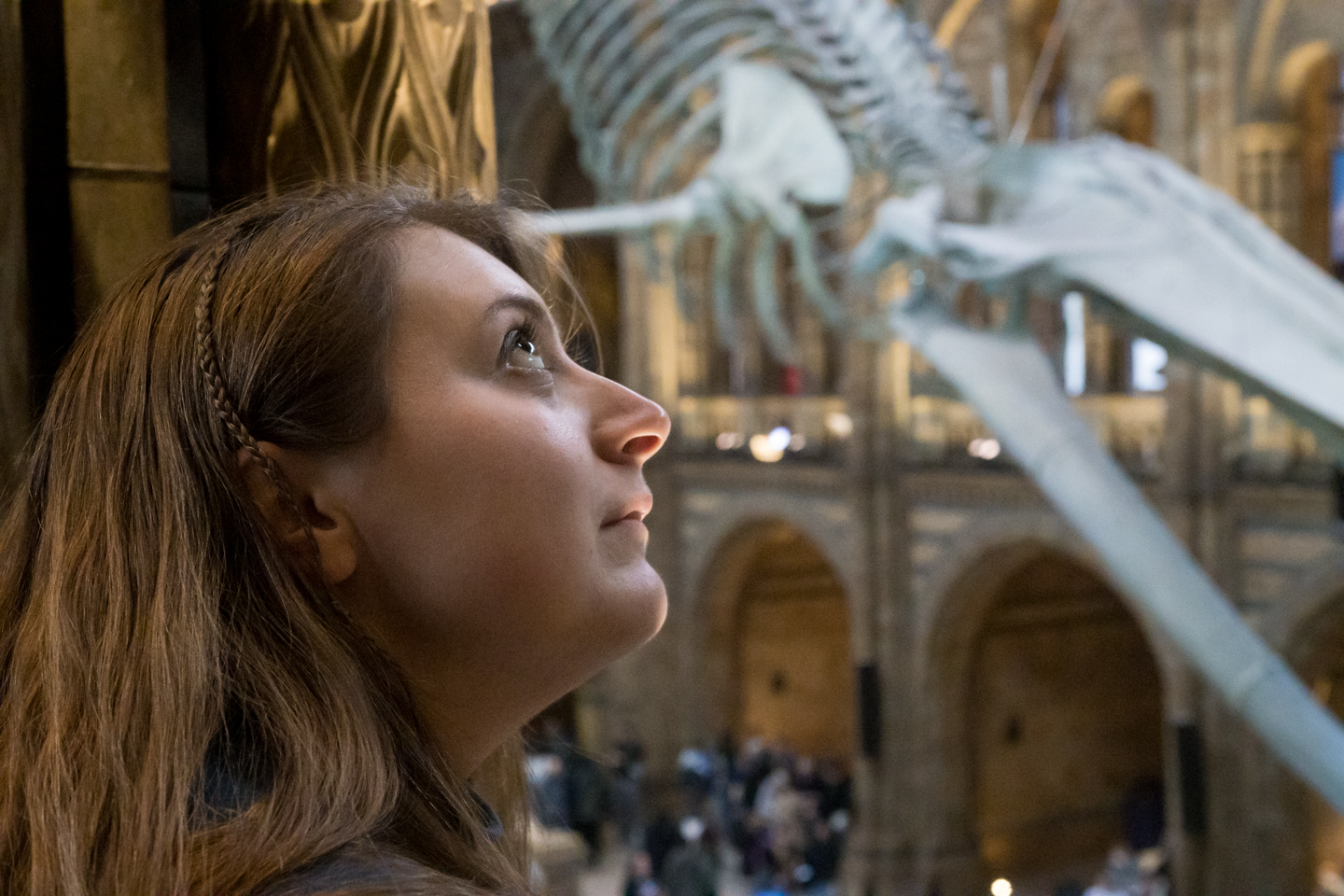 Having a whale of a time