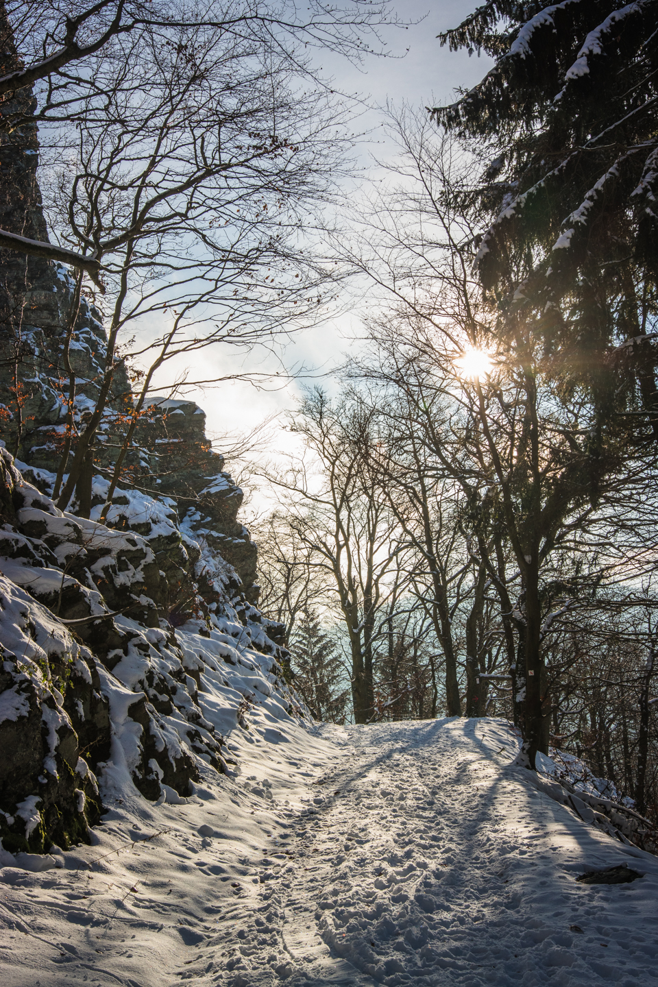 Snowy Walk in the Taunus
