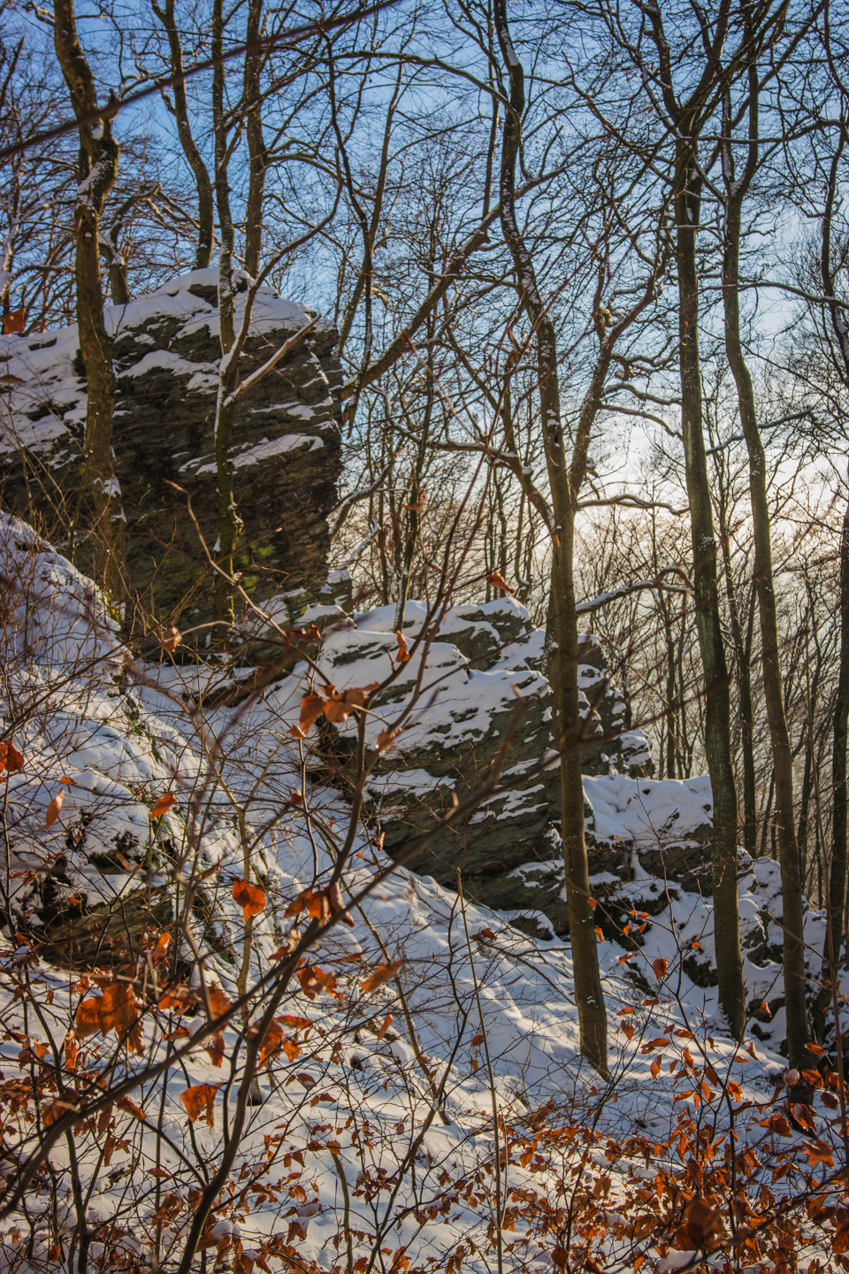 Snowy Walk in the Taunus