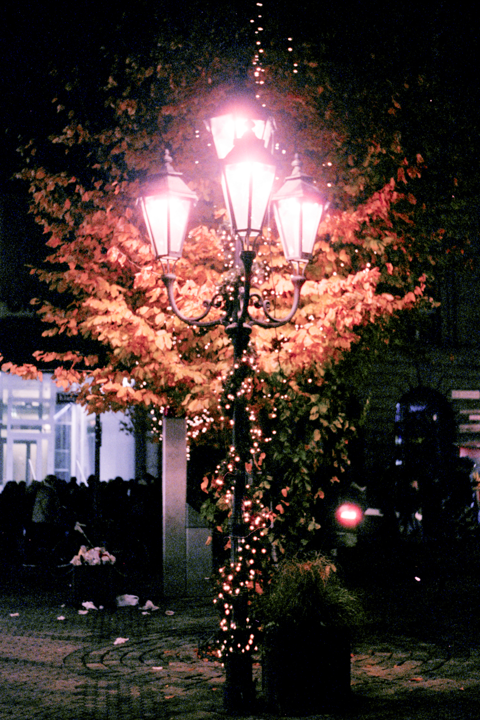 Glowing tree in Nürnberg