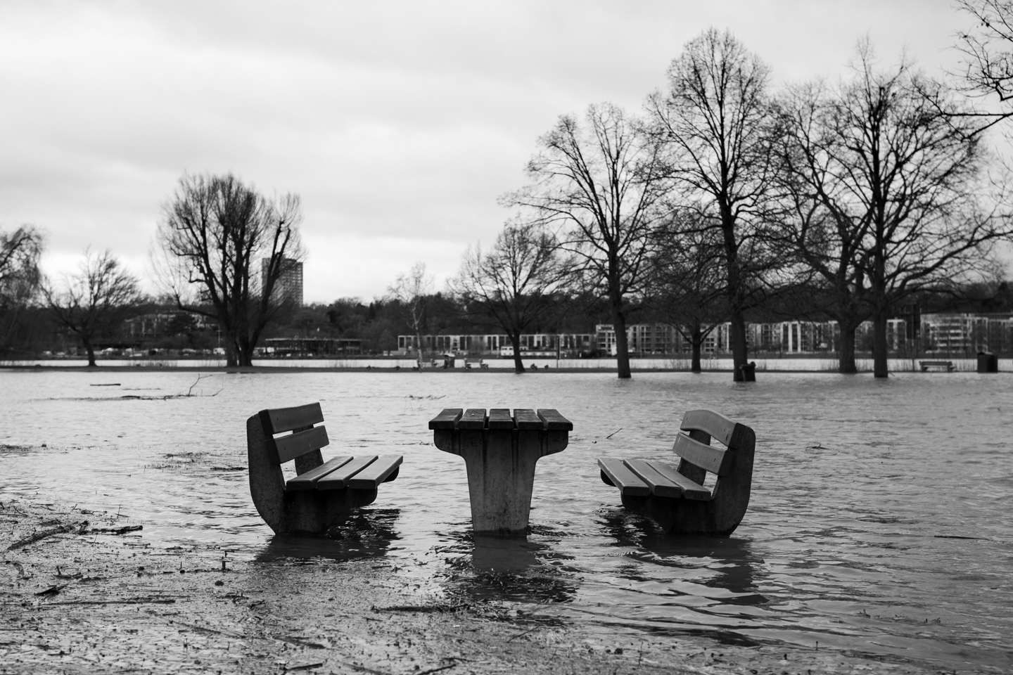 Rhine in Flood